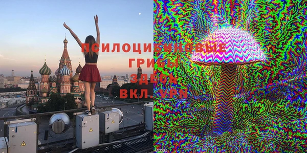 стафф Верея