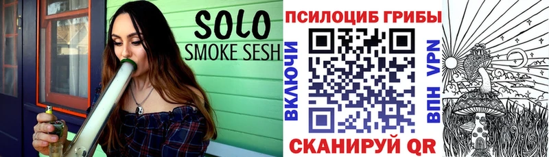Псилоцибиновые грибы Psilocybine cubensis  Новоржев 